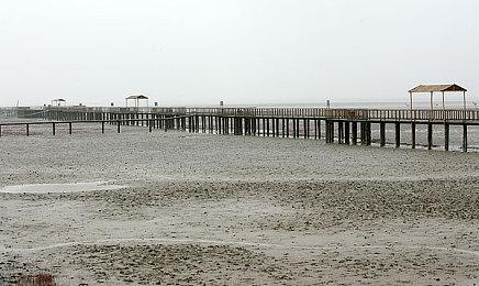 国产恐怖2D叙事游戏《吃香》上线Steam页面